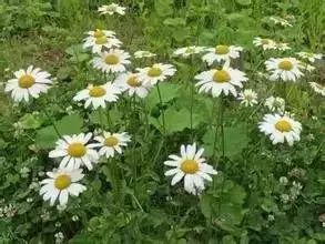 温度控制，成败的关键