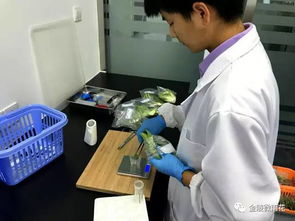 快速检测， 为健康护航