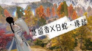 爱情树，缘起何处