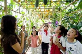 动态描写的感染力