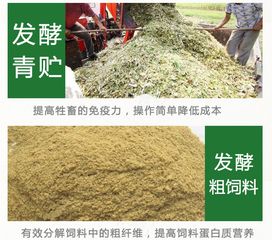 微贮青绿秸秆品质评估