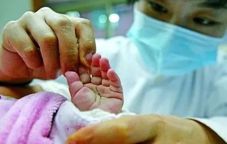 棉花病毒病有哪些典型症状？如何有效预防棉花病毒病的发生