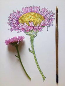丝袜花制作，曼陀罗花束核心技巧