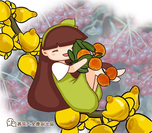 属牛女养花首选：旺运招财植物推荐