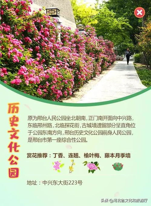 一、 邢台露地种花的选择