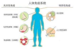 哪种病症治疗效果蕞显著？秘密在这里！