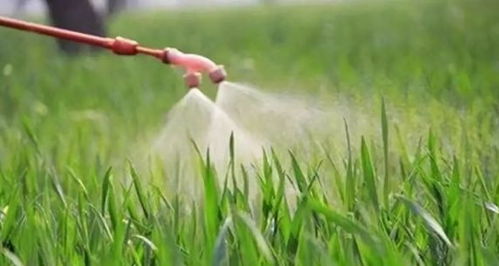 第一次用药时间