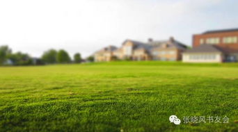 防除杂草， 草坪的“清洁工”