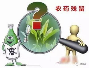 简单实用的去除残留农药方法