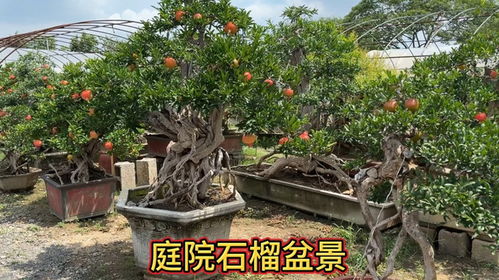 空间营造把握「三七法则」