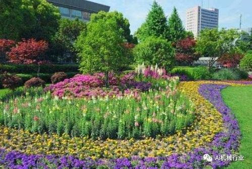 1. 植物选择与配置