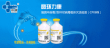 猪场养殖必备！经典药物配伍方案