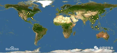 浙江：香樟树的历史与文化