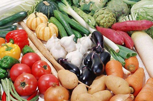 12月中山适合种植哪些蔬菜？