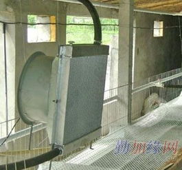 农业养殖降温：通风、喷淋、遮阳