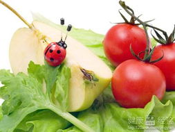 蔬菜虫害的困扰与农药替代的探索