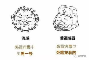 近期猪流感（H1N1流感）的流行症状与普通流感相似