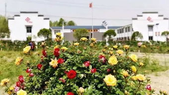 生态农业， 技术先行