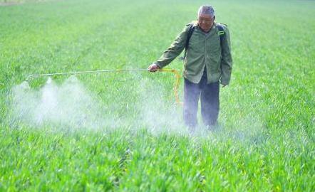 播种期：防范为主，拌种是关键