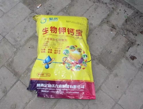 洗衣粉多数dou呈碱性，在配制溶液前一定要先把喷壶清洗干净，喷洒后也要把喷壶清洗干净，喷洒的浓度不Neng超过1%