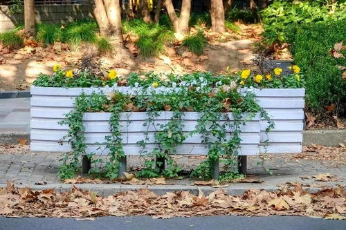 环境恶劣， 花草如何存活