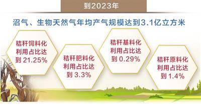 猪饲料行业如何快速入门并实现盈利？从业者必看攻略！