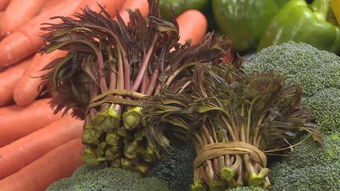 春季种植，Zui适合播种