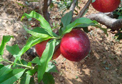 一、选择好时机