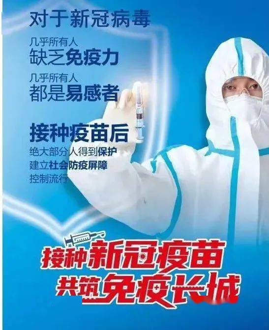 种鸡场免疫接种，严格操作保效果