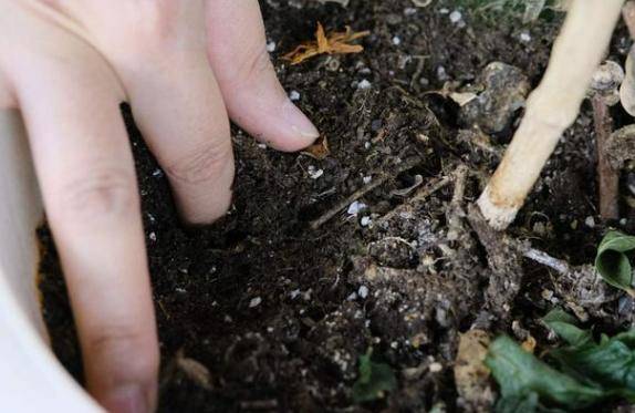 检测土壤的秘诀， 你一定要学会