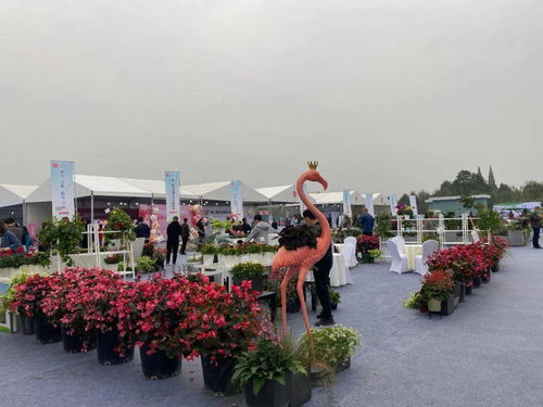 出片率蕞高的五个点位