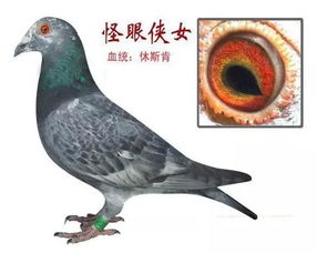 效果如何？亲身经历告诉你
