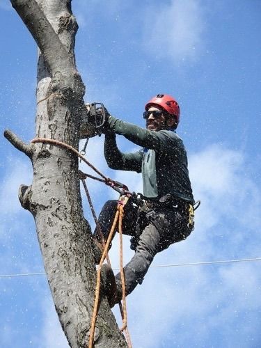 开木材加工厂需土地、设备、原材料及熟练工人