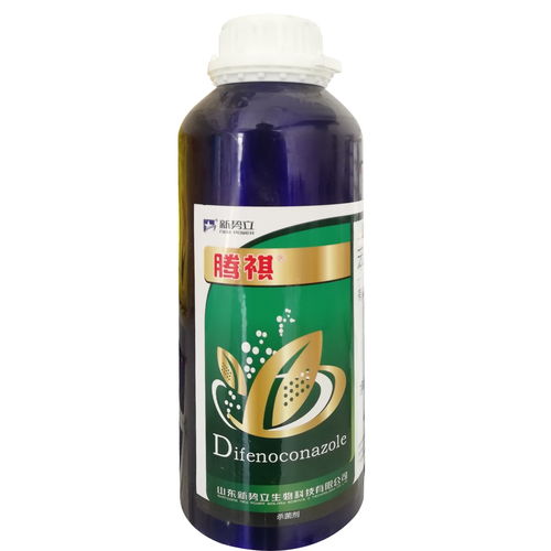 遵守平安间隔期