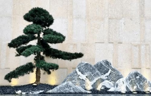 一、 园林中的独特树木