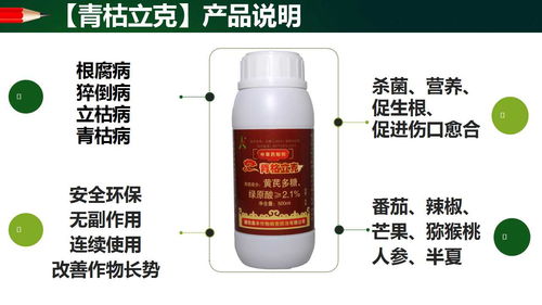 春季清园，药剂选择有讲究