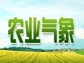 农药打在阴天下午，有什么好处呢？