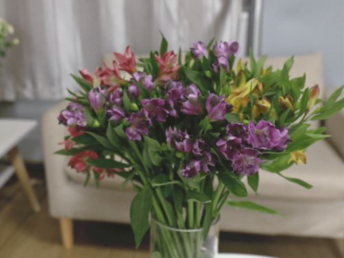 百合花语感恩，传递心意，花艺感恩礼选！