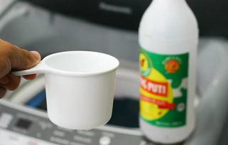 白醋和小苏打，杀菌好帮手