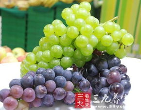 金钻水养需要注意哪些技巧和事项，才能保证其健康生长