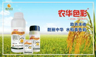 软化蜡质层， 提升药效