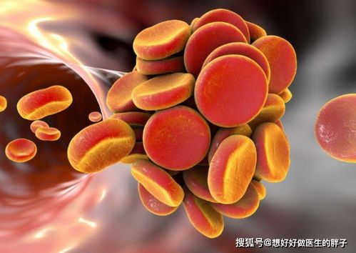 树叶为何会分泌粘液？这粘液背后隐藏着怎样的秘密