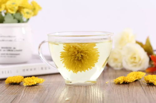 菊花茶是凉性？资深中医揭秘其属性