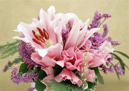 百合：纯洁高雅的象征