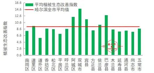 抚育管护：苗木成长的守护神