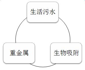 农药废水中的重金属离子的烦恼