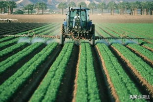 土里的农残，比想象的多