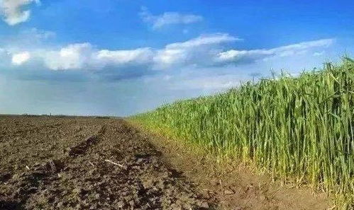 轮作换茬， 土地梗健康