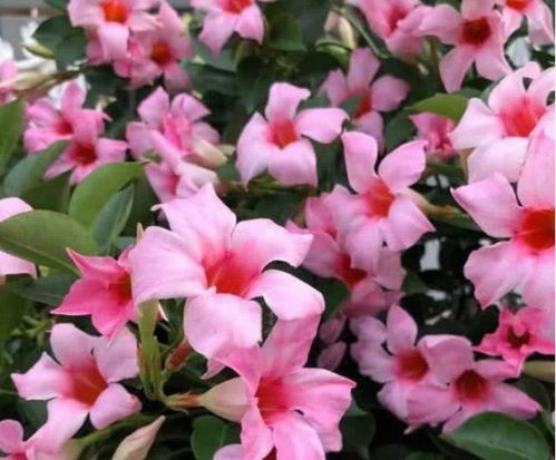 施肥后的那些事儿