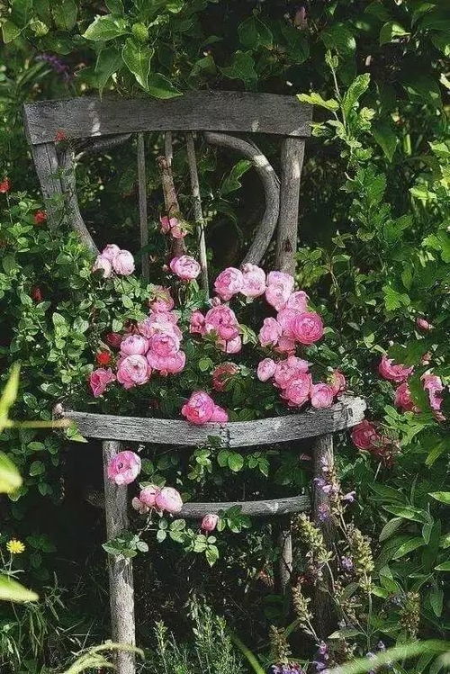 养花的好处， 简直不Neng太多